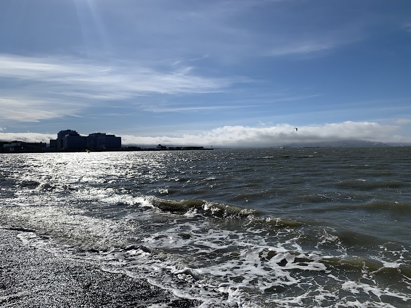 Bay Trail / Foster City photo 3