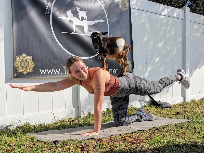 Photo of The Little Yogi - Goat Yoga Tampa