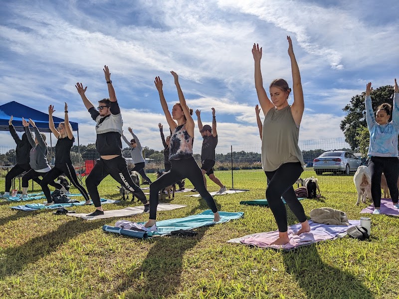 The Little Yogi - Goat Yoga Tampa photo 5