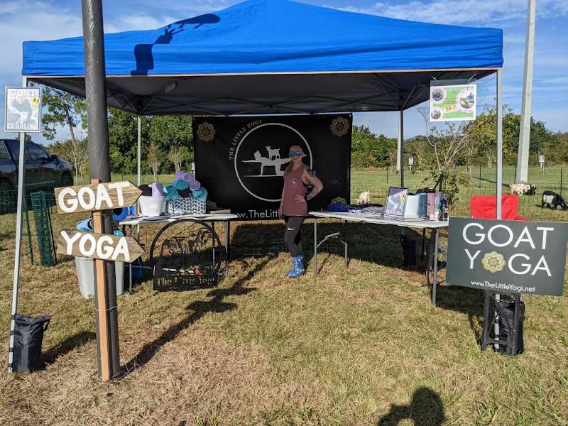 The Little Yogi - Goat Yoga Tampa photo 3