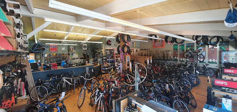 Castro Valley Cyclery photo 3