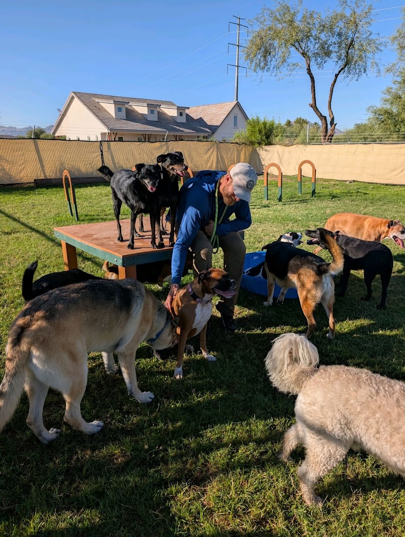 Photo of Canine Country Ranch