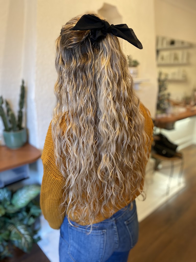 Aura Curl Studio photo 4