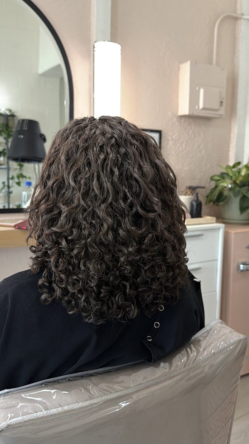 Aura Curl Studio photo 5