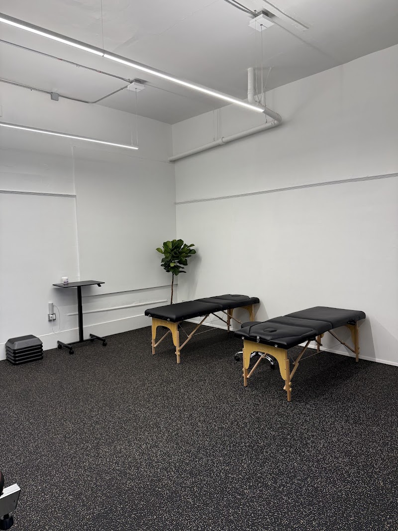 San Francisco Physical Therapy & Performance photo 4