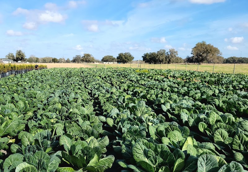 Photo of Branch Farms