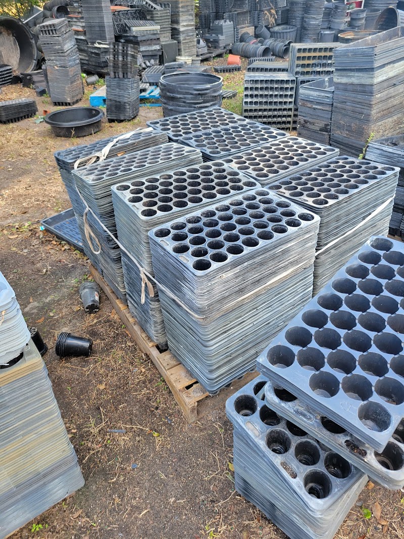 Branch Farms photo 5