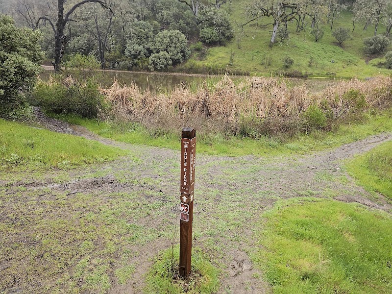 Frogs Lake Camp photo 3