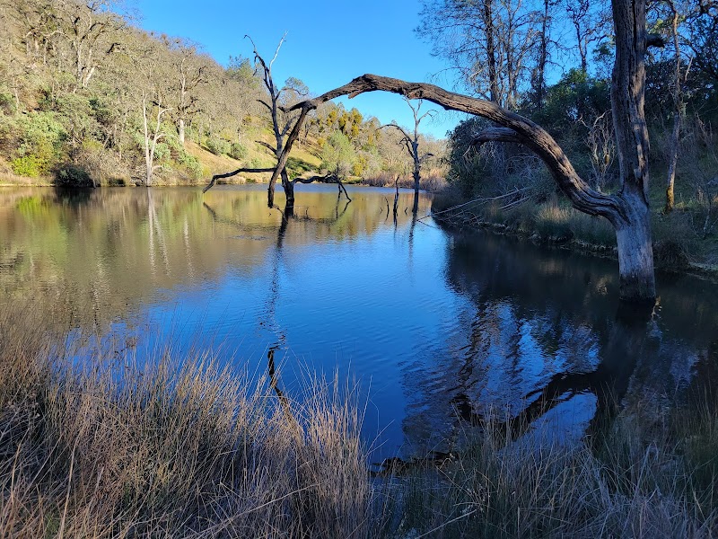 Photo of Frogs Lake Camp