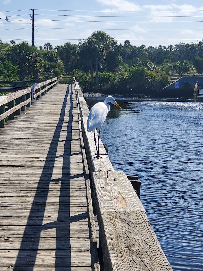 Jenkin's Creek Park Fishing pier photo 4