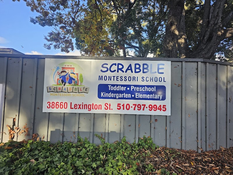 Scrabble Montessori School photo 2