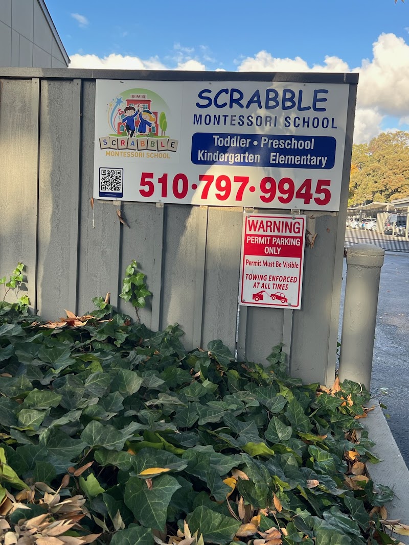 Scrabble Montessori School photo 4