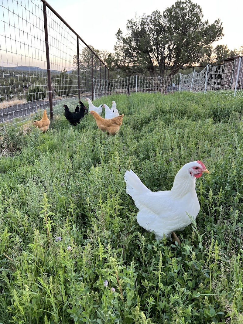 Fort Rock Farms photo 3