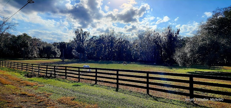 Chinsegut Hill Historic Site photo 5