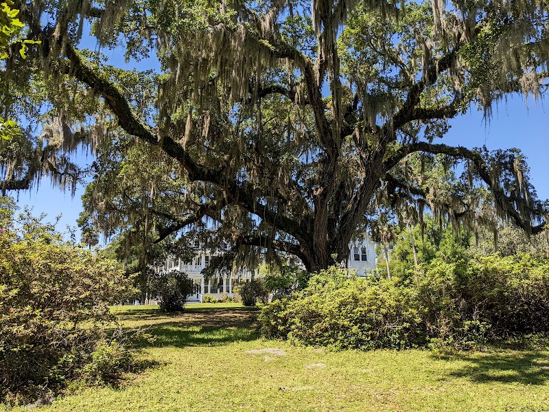 Chinsegut Hill Historic Site photo 3