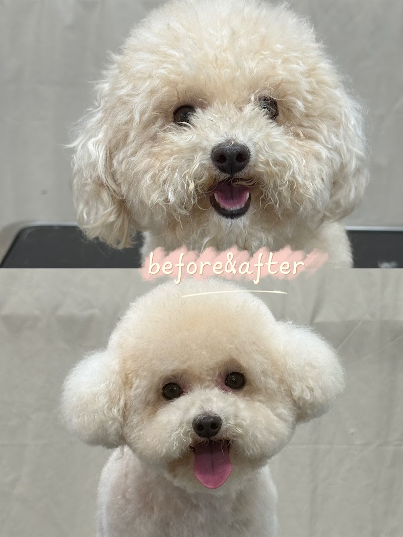 Petit Paw Grooming photo 2