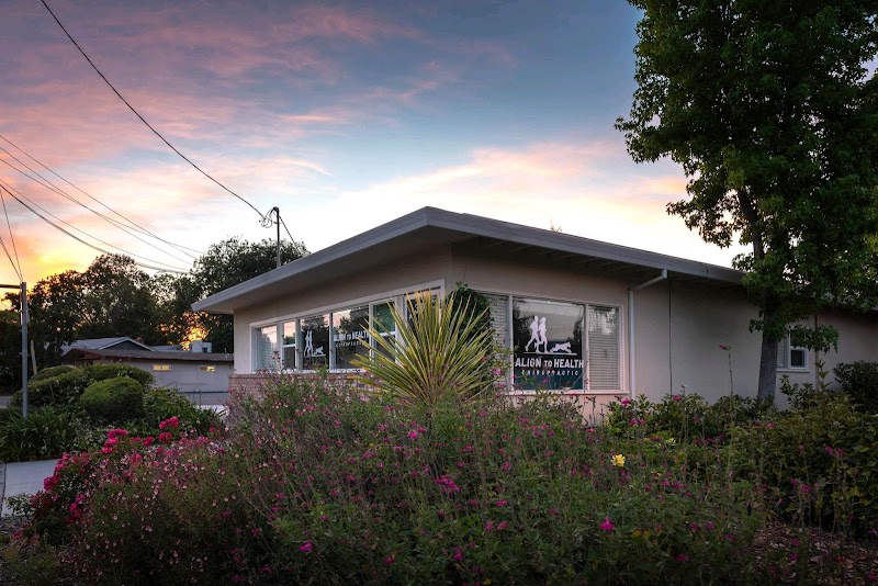 Align to Health Chiropractic photo 3