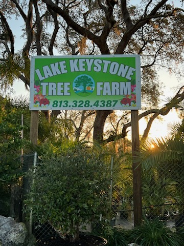 Lake Keystone Tree Farm photo 2