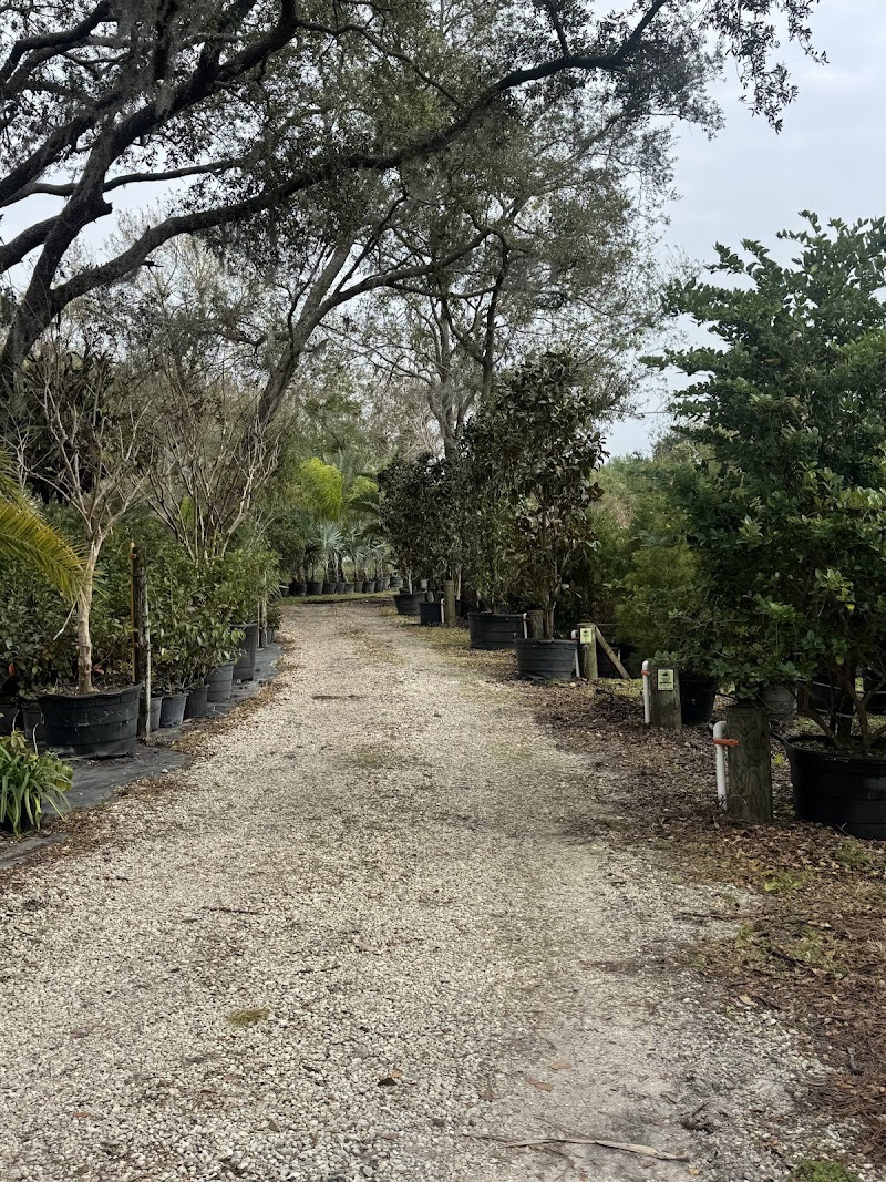 Lake Keystone Tree Farm photo 3