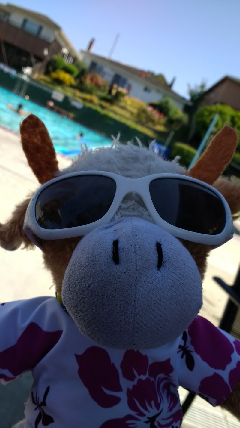 Chabot Swim Club photo 5