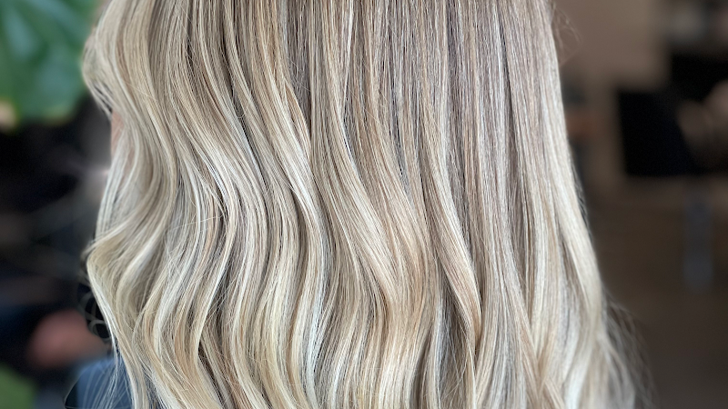 Haas Salon