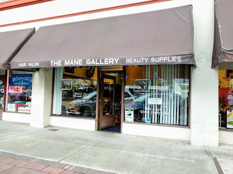 Photo of Mane Gallery