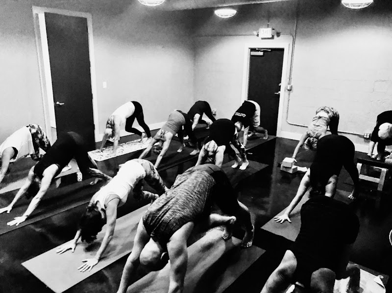 The Yoga Room at Blue Lotus Treatment Center photo 3