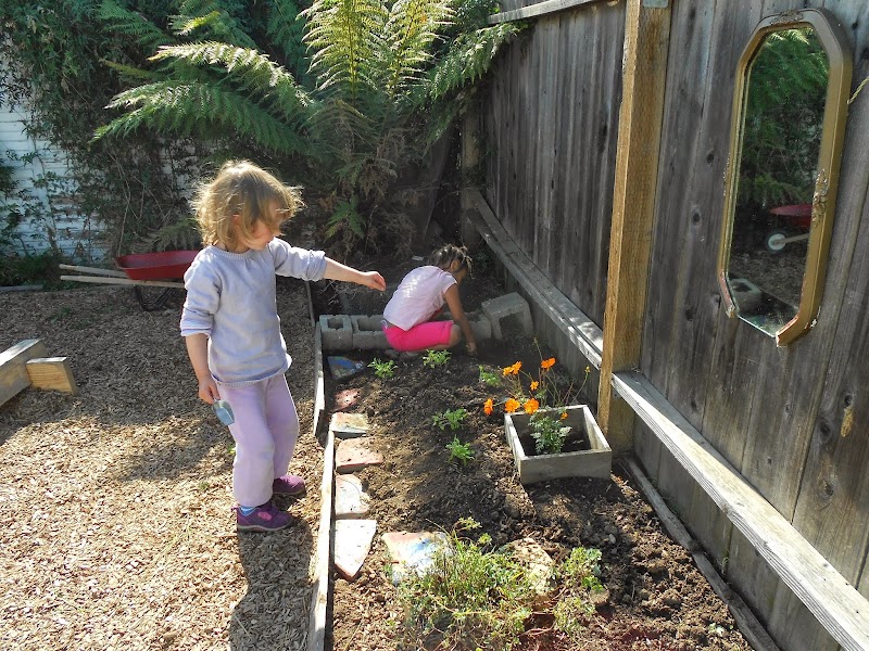 Hummingbird Montessori Preschool photo 3