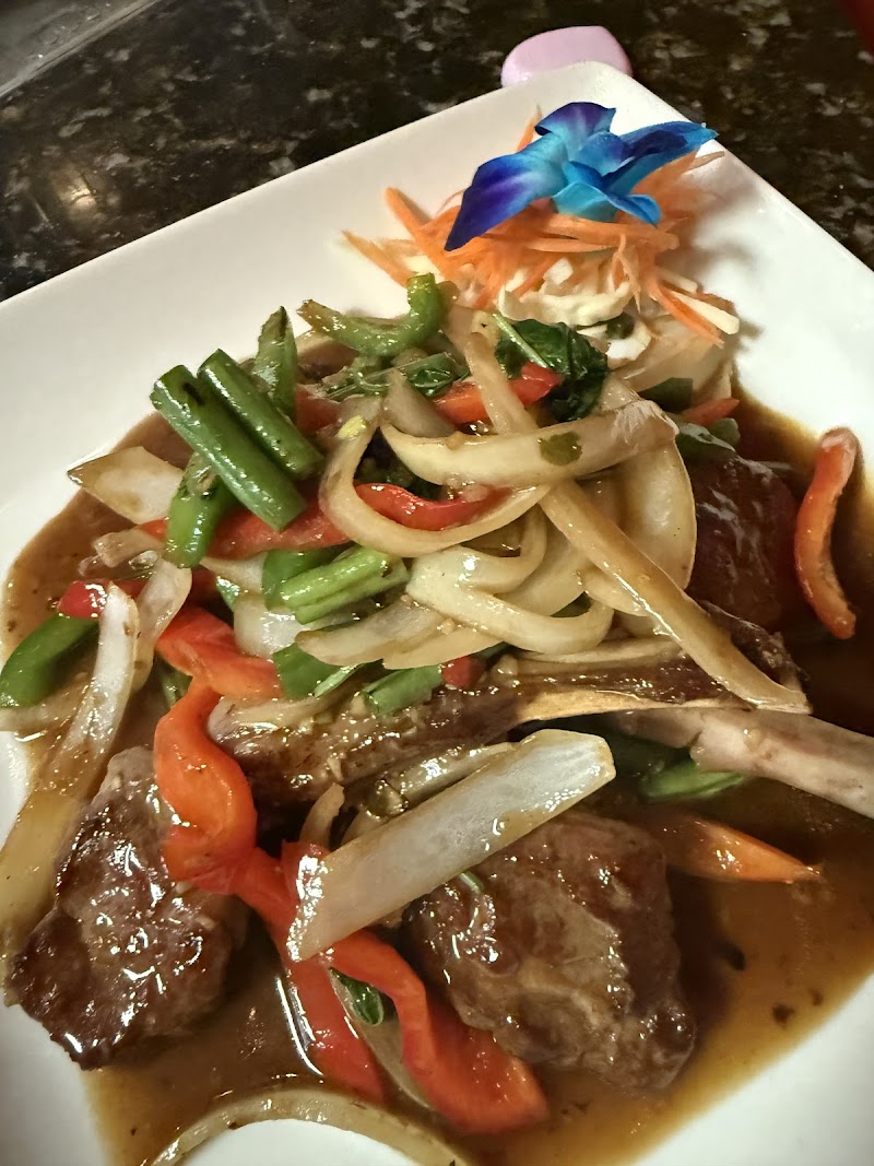 Maya Thai Cuisine - Tampa photo 2