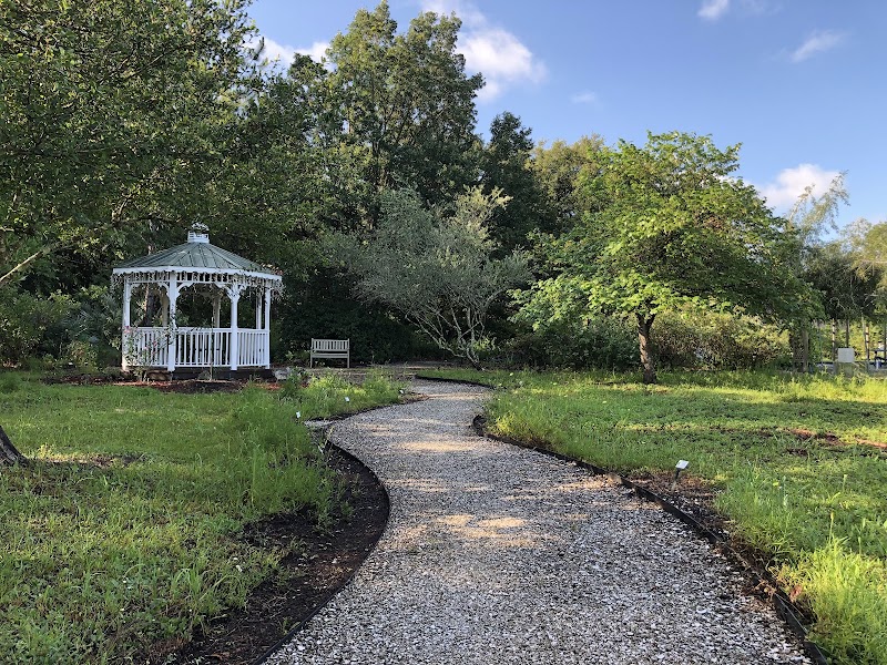 Plant city commons community garden photo 3