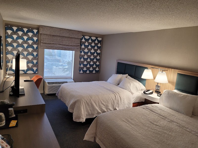 Hampton Inn & Suites Tampa-Wesley Chapel photo 2