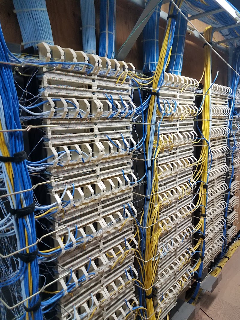 preferred electric photo 5