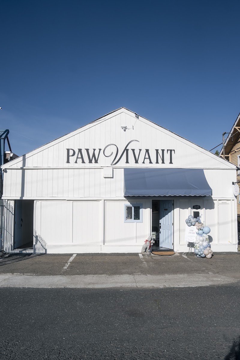 Paw Vivant photo 3