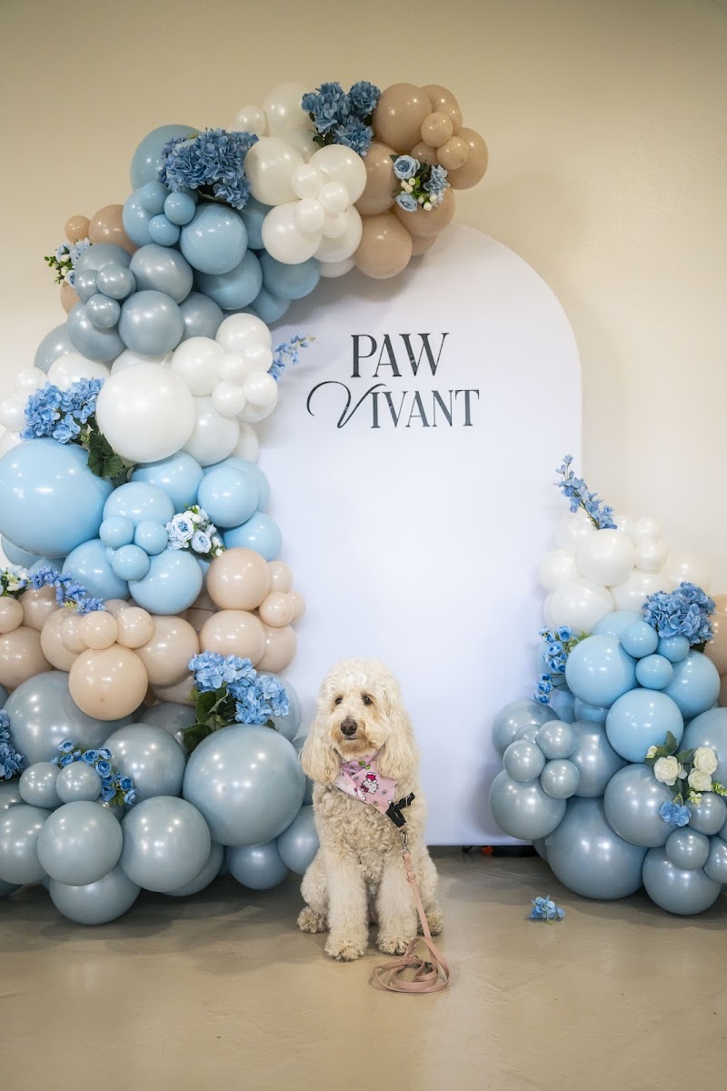 Photo of Paw Vivant