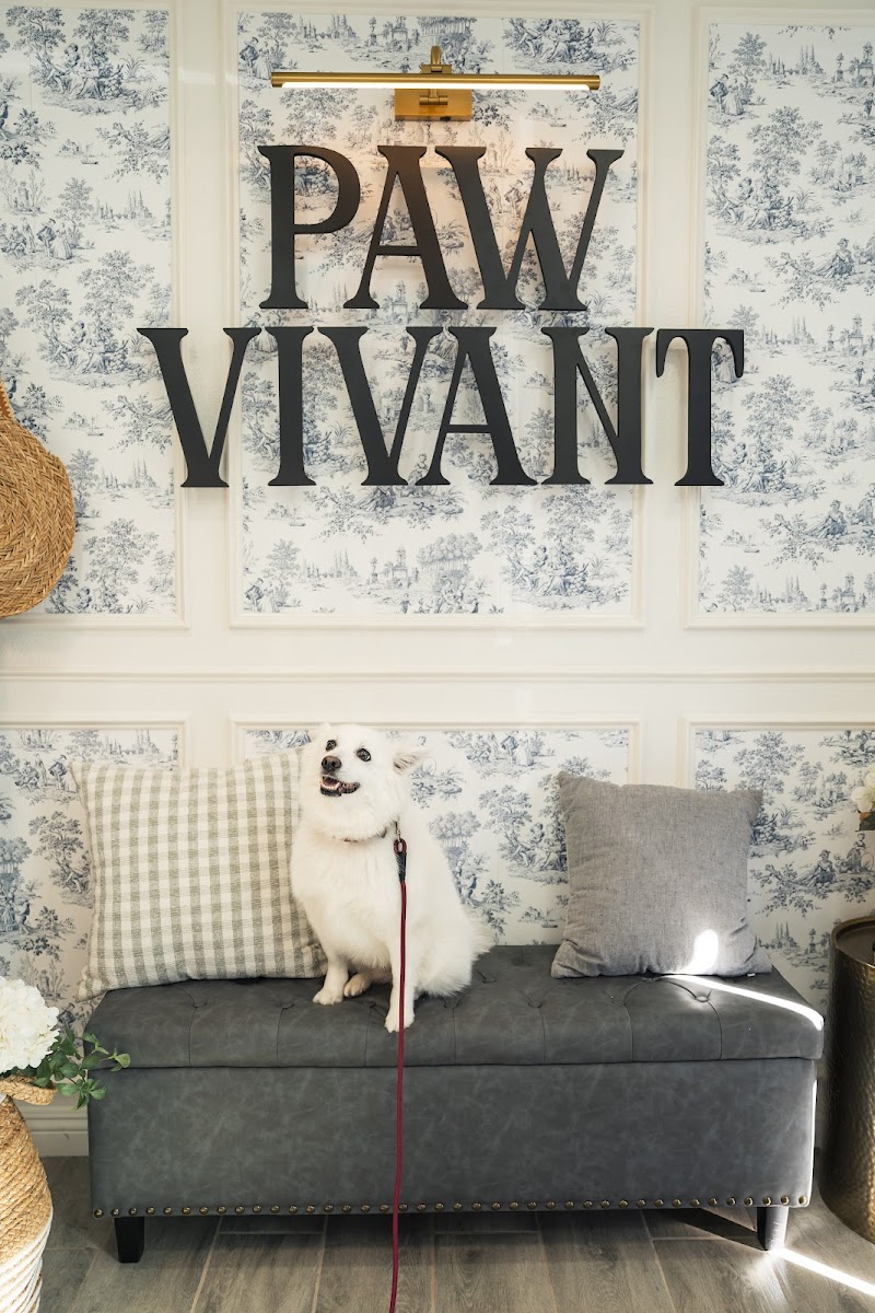 Paw Vivant photo 4