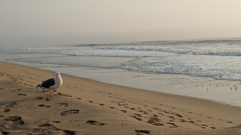 Elmar Beach photo 2