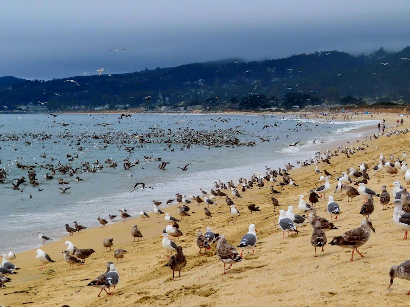 Elmar Beach photo 5