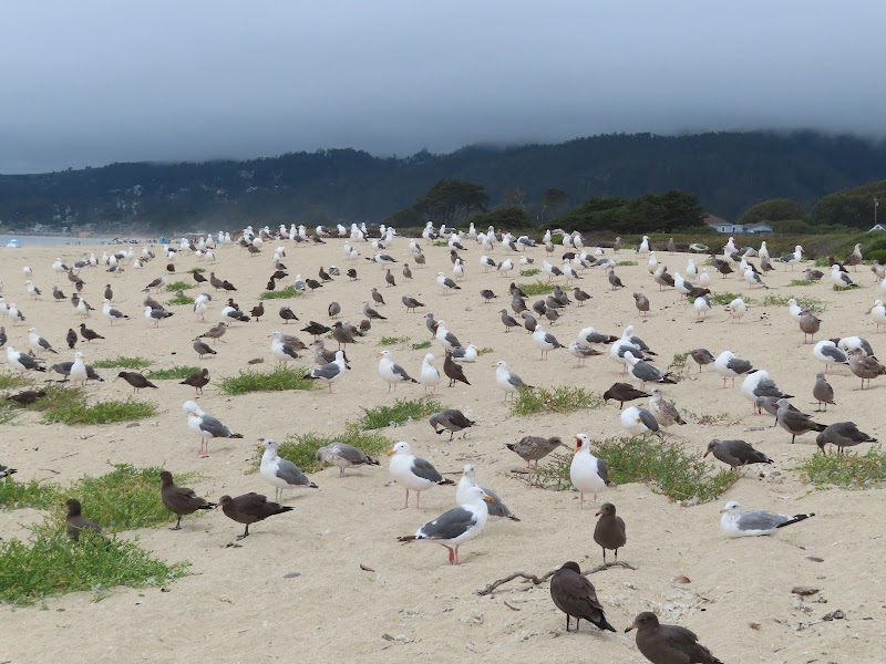 Photo of Elmar Beach