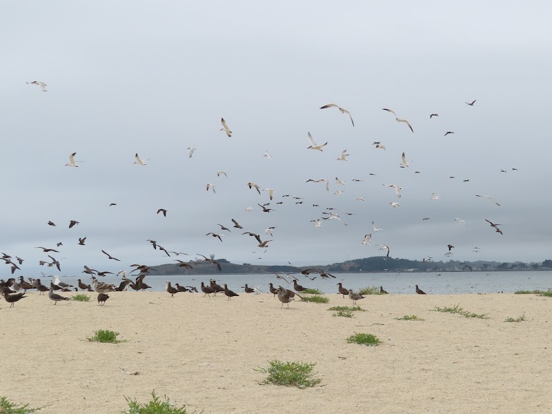 Elmar Beach photo 4