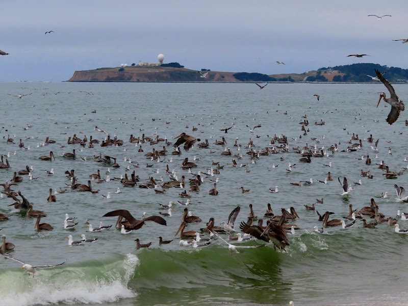 Elmar Beach photo 3