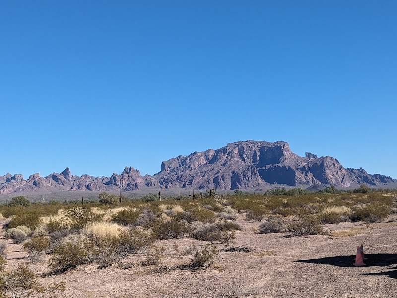 Palm Canyon, Kofa N.W.R. photo 3
