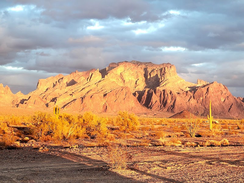 Palm Canyon, Kofa N.W.R. photo 2