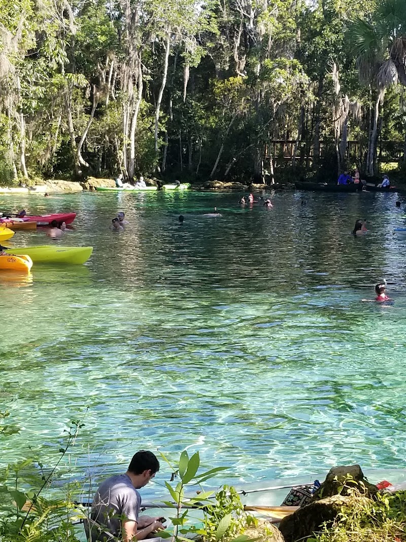 Crystal River National Wildlife Refuge & Visitor Center photo 3