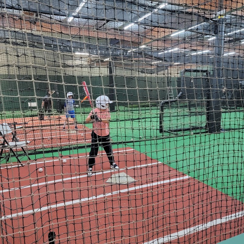 Pacifica Cages photo 3