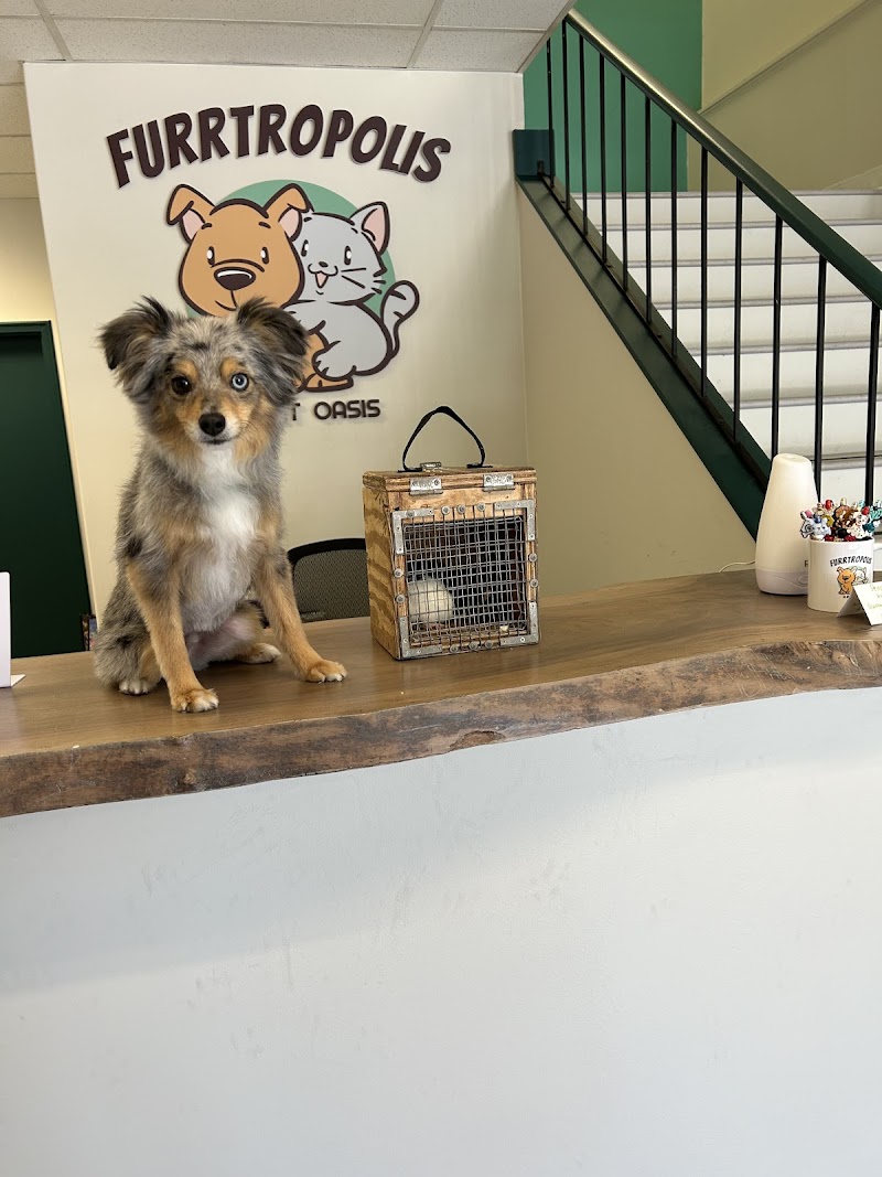 Furrtropolis photo 4