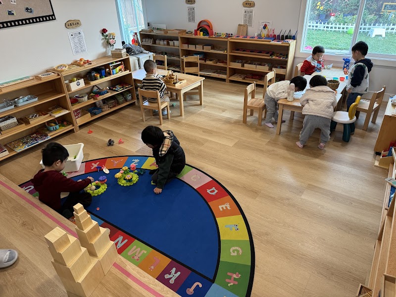 Photo of Bay Star Montessori