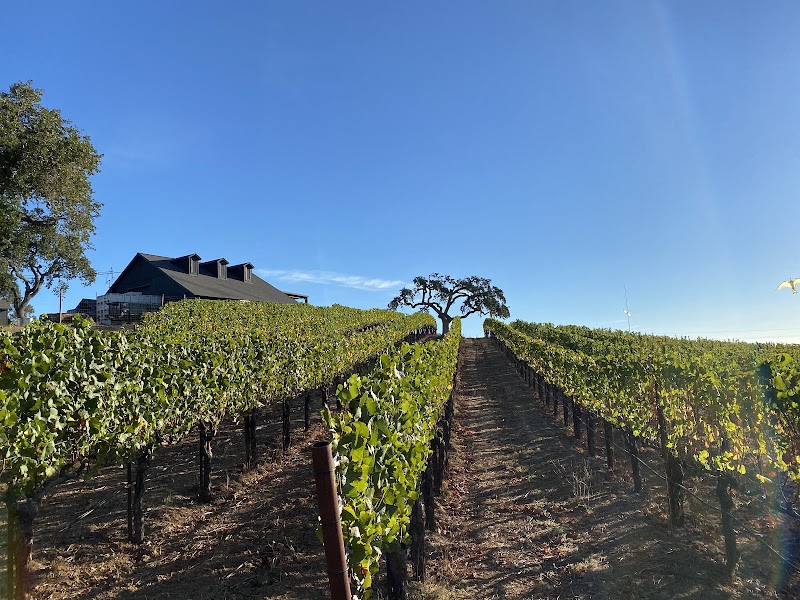 Parum Leo Winery & Vineyard photo 4