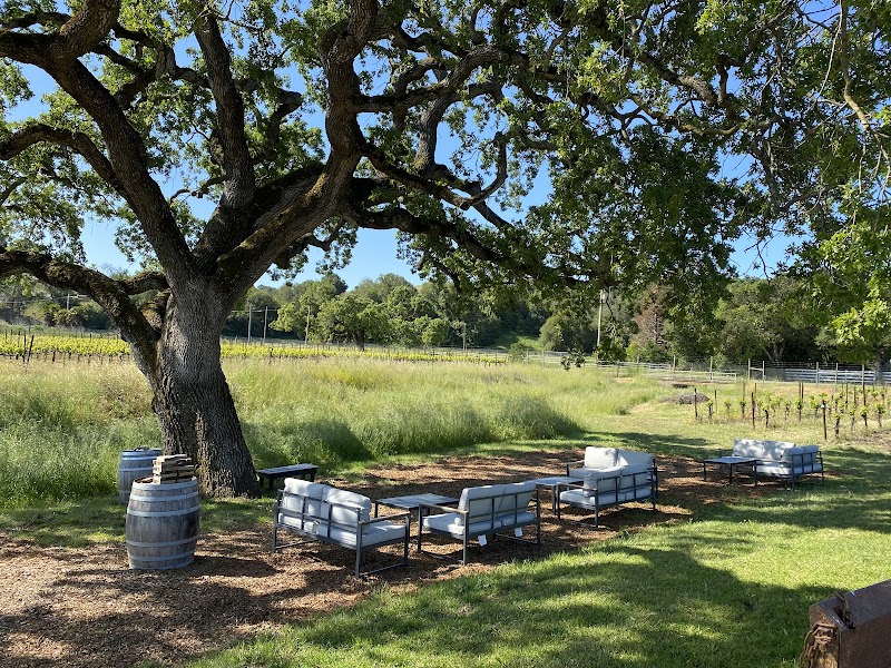 Parum Leo Winery & Vineyard photo 5