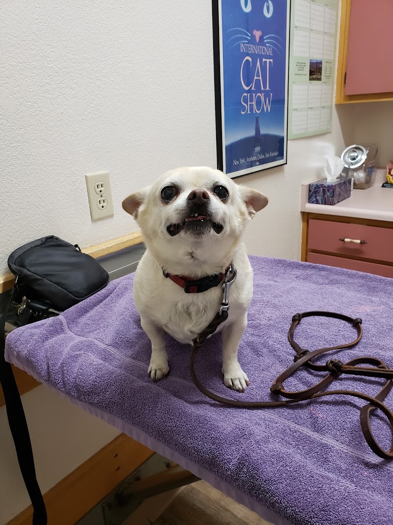 Family Pet Hospital photo 4