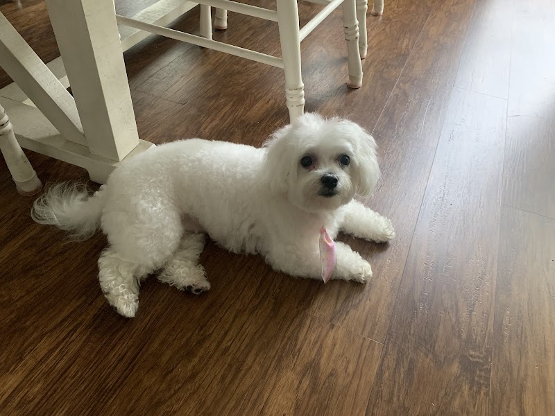 Family Pet Hospital photo 3